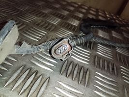 Volkswagen Tiguan Câblage / faisceau de câbles 3C0971047