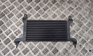 Citroen DS4 Radiatore del carburatore (radiatore) 