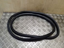 Citroen DS4 Rear door rubber seal (on body) 