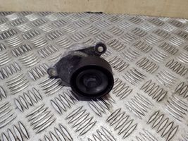 Citroen DS4 Napinacz paska alternatora 9801875280