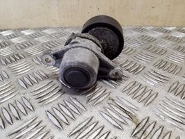 Citroen DS4 Diržo įtempėjas 9801875280