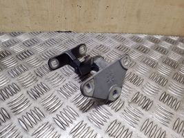 BMW X5 E70 Tailgate hinge 