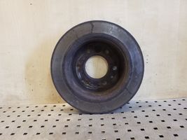 Volkswagen Crafter Rear brake disc 