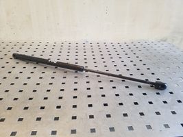 Volkswagen Eos Tailgate/trunk strut/damper 1Q0827550B