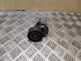 Volkswagen Eos Napinacz paska alternatora 03C145299AC