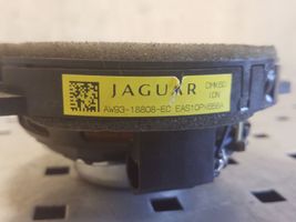 Jaguar XJ X351 Głośnik drzwi tylnych AW9318808EC