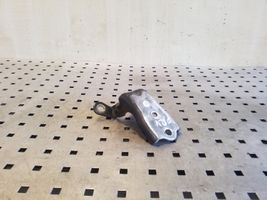 Chevrolet Captiva Front door upper hinge 