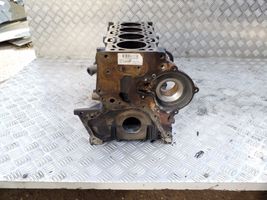 Chevrolet Captiva Engine block Z20S1