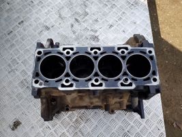 Chevrolet Captiva Engine block Z20S1