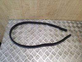 Volkswagen PASSAT B8 Engine compartment rubber 3G0823723