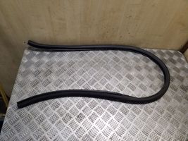 Volkswagen PASSAT CC Front door rubber seal 3C8867911