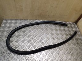 Volkswagen PASSAT CC Front door rubber seal 3C8867911