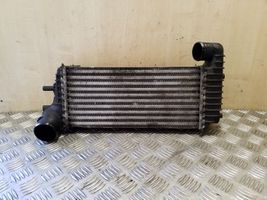 Ford Transit -  Tourneo Connect Radiatore intercooler BV619L440CJ