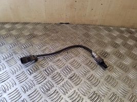 Fiat Ducato Sensore della sonda Lambda 55233616