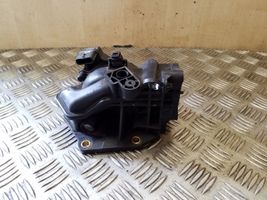 Nissan Qashqai Droselinė sklendė A2C53350932