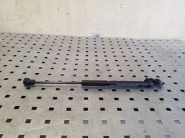 Chevrolet Captiva Rear window strut damper 