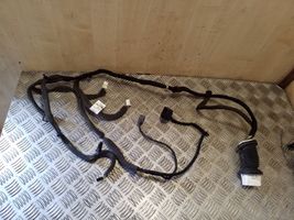 Chevrolet Captiva Front door wiring loom 95491042