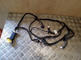 Chevrolet Captiva Front door wiring loom 95491042