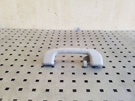 Chevrolet Captiva Rear interior roof grab handle 