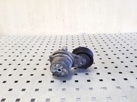 Chevrolet Captiva Napinacz paska alternatora 25182787