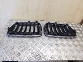 BMW X3 F25 Front bumper upper radiator grill 51117210726