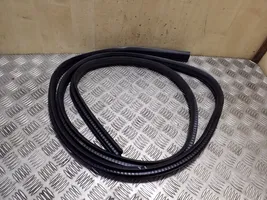 Ford Kuga II Front door rubber seal 