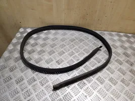 Volkswagen Touareg II Front door rubber seal 