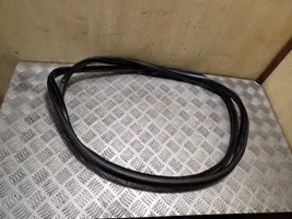 Hyundai ix35 Front door rubber seal 