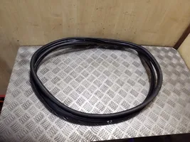 Hyundai ix35 Front door rubber seal 