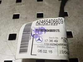 Mercedes-Benz B W246 W242 Wiązka przewodów drzwi tylnych A2465406809