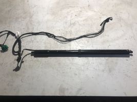 Jaguar XJ X351 Tailgate/trunk strut/damper AW9370354AE