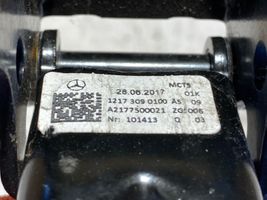 Mercedes-Benz S W222 Blocco/chiusura/serratura del portellone posteriore/bagagliaio A2177500021