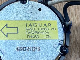 Jaguar XJ X351 Głośnik wysokotonowy drzwi przednich AW9318808AB