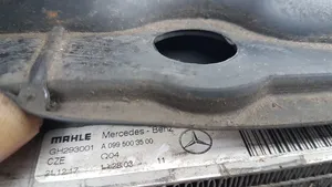 Mercedes-Benz GLC X253 C253 Комплект радиатора A0999061301