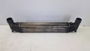 Volkswagen Sharan Chłodnica powietrza doładowującego / Intercooler 132002748A