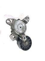 Peugeot 307 Tendicinghia generatore/alternatore TF070