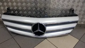 Mercedes-Benz R W251 Etusäleikkö A2518880623