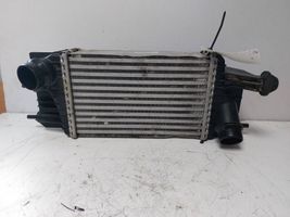 Nissan NV200 Chłodnica powietrza doładowującego / Intercooler 14461-1K82A