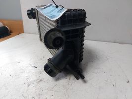 Nissan NV200 Chłodnica powietrza doładowującego / Intercooler 14461-1K82A