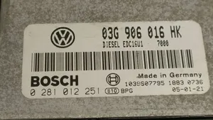 Volkswagen Touran I Sterownik / Moduł ECU 03G906016HK