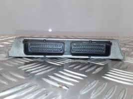 Hyundai Grandeur Nestekaasun ohjainlaite/moduuli (LPG) 67R016025