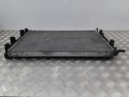 Renault Megane II Coolant radiator 8200325007C