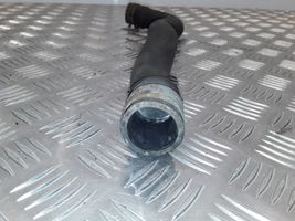 Volkswagen Lupo Engine coolant pipe/hose 