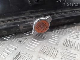 Mitsubishi Pajero Dzesēšanas šķidruma radiators MR404894
