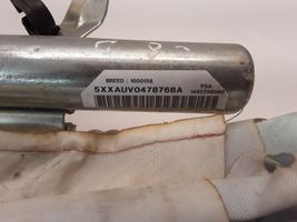 Citroen C8 Stogo oro pagalvė (užuolaida) 1495298080