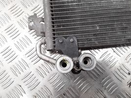 Renault Scenic RX A/C cooling radiator (condenser) 7700434383