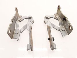 Hyundai Sonata Engine bonnet/hood hinges 