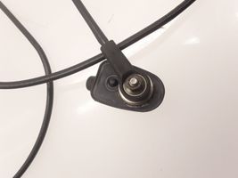 Nissan Almera N16 Antenna autoradio 