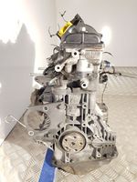 Microcar M8 Engine LDW442EV0