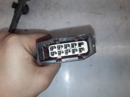 Jaguar S-Type Cableado de puerta delantera 4R8T14631CD